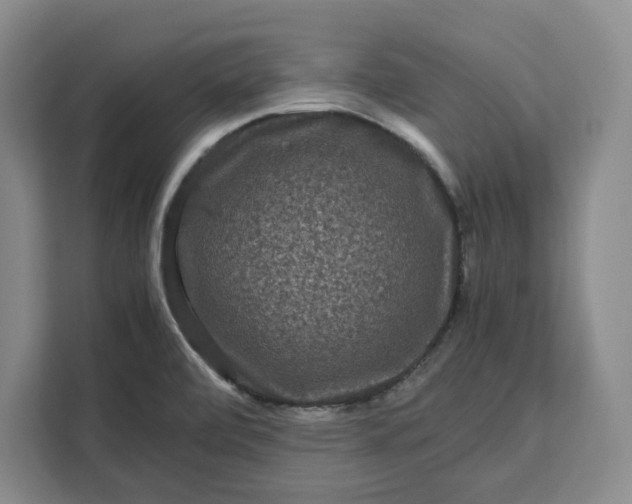 X0000111121472200907141141