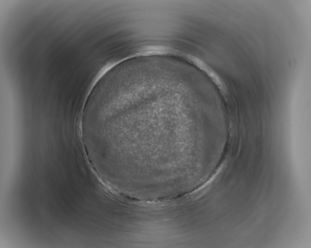 X0000111121473200907141141