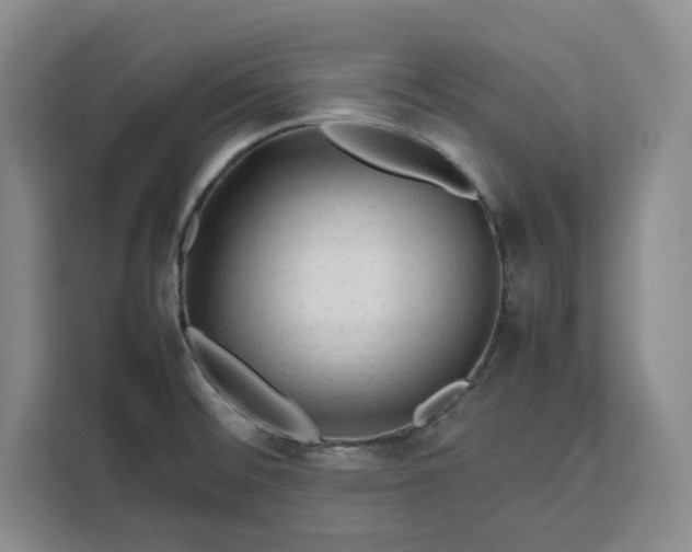 X0000111121476200907141141