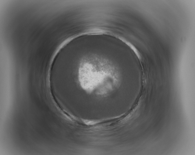 X0000111121477200907141141