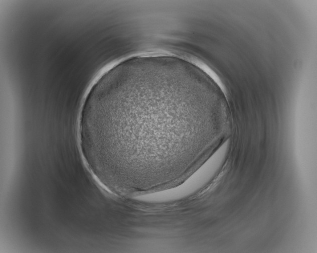 X0000111121485200907141141