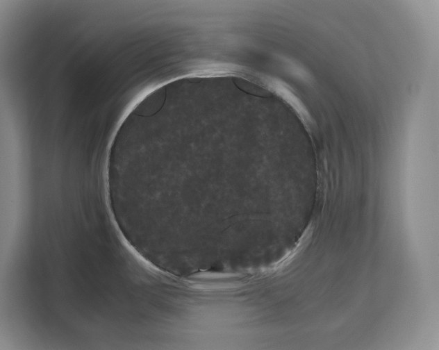 X0000111121487200907141141