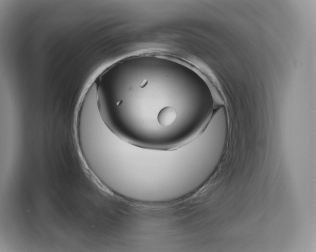 X0000111121488200907141141