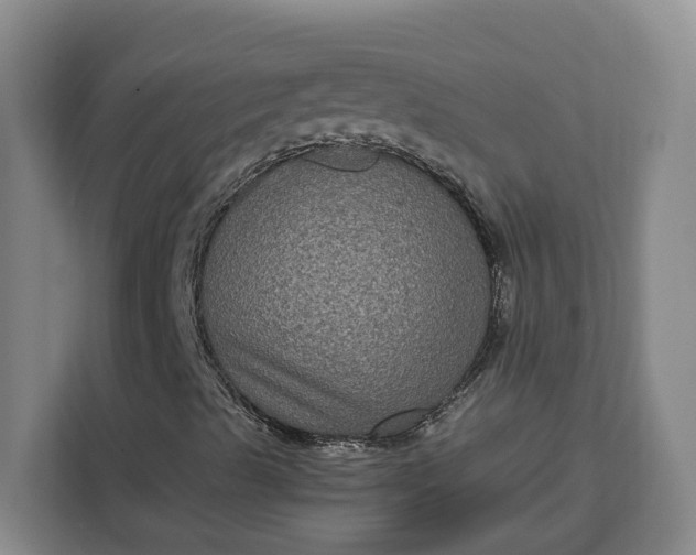 X0000111121489200907141140