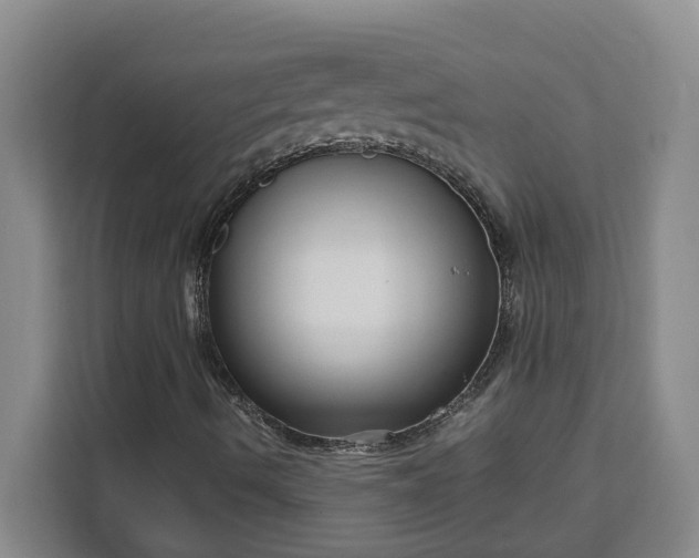 X0000111121490200907141140