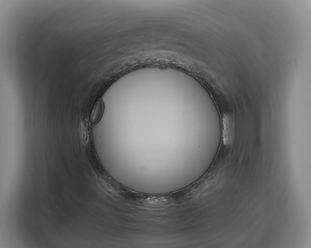 X0000111121491200907141140