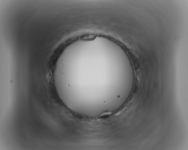 X0000111121495200907141140