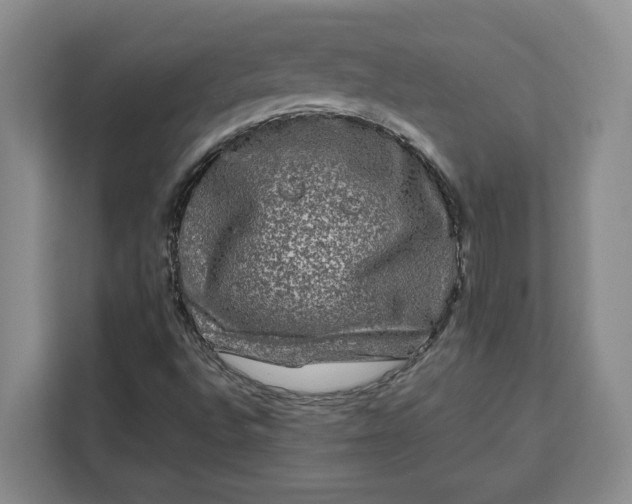 X0000111121496200907141140