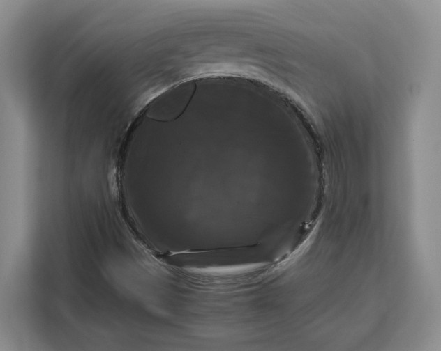 X0000111121497200907141140