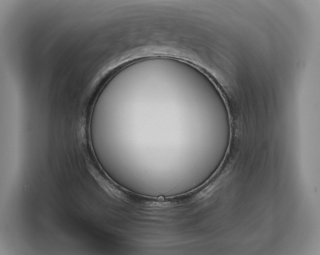 X0000111121499200907141140