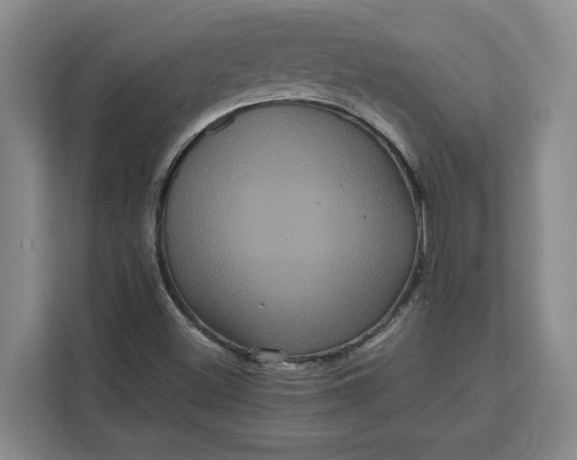 X0000111121500200907141140