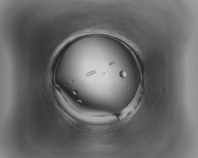 X0000111121502200907141140