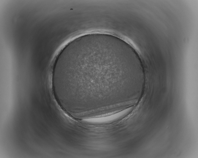 X0000111121504200907141140