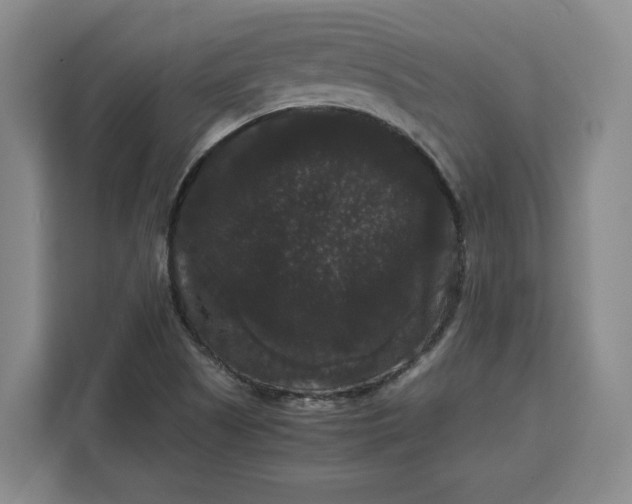 X0000111121505200907141140