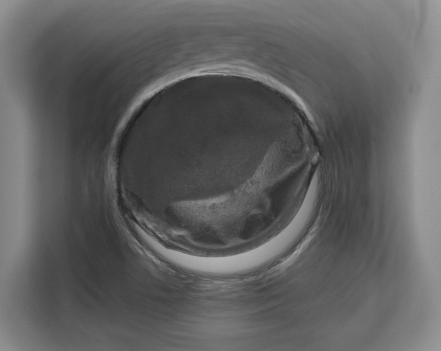 X0000111121506200907141140