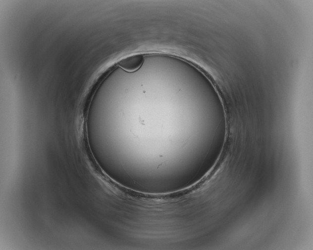 X0000111121507200907141140