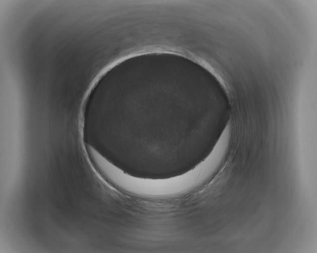 X0000111121508200907141140