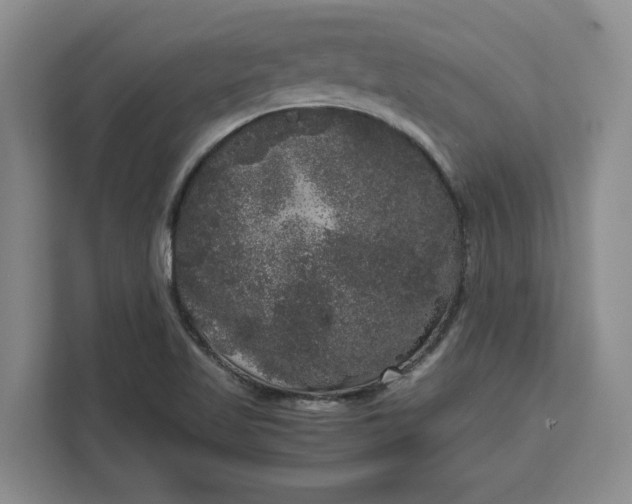 X0000111121509200907141140