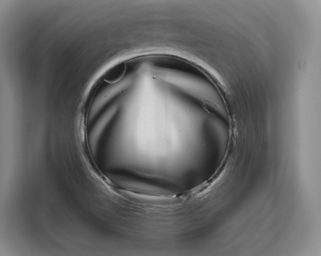 X0000111121510200907141140