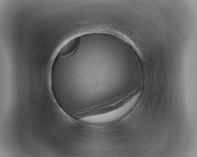 X0000111121512200907141140