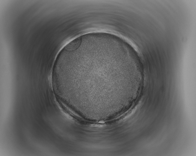 X0000111121513200907141140