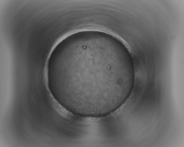 X0000111121514200907141140