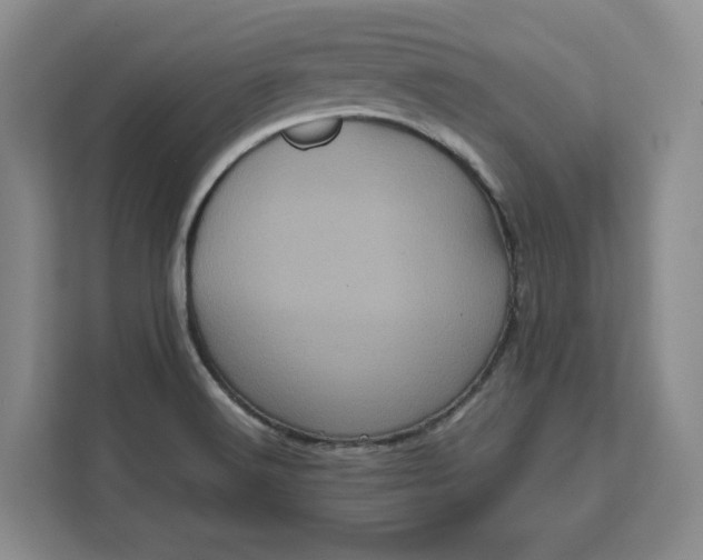 X0000111121516200907141140