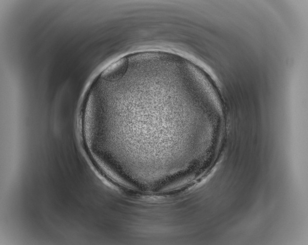 X0000111121517200907141140