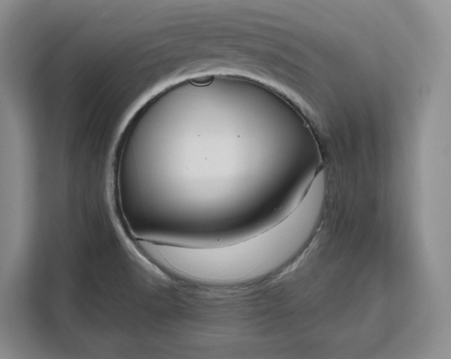 X0000111121518200907141140