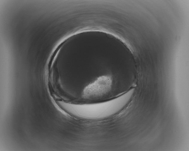 X0000111121519200907141140