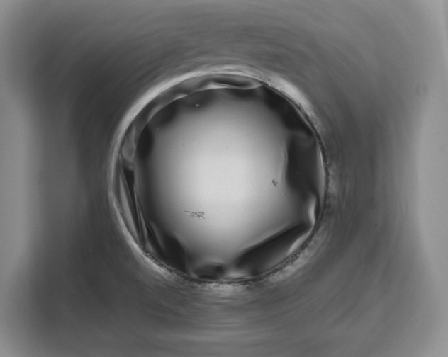 X0000111121520200907141140