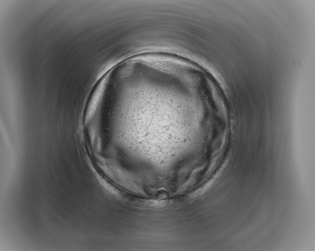 X0000111121521200907141140