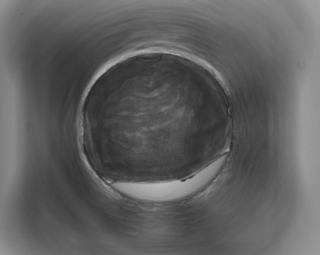 X0000111121522200907141140