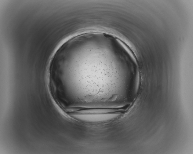 X0000111121523200907141140