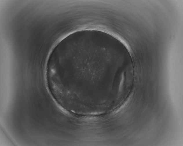 X0000111121525200907141140