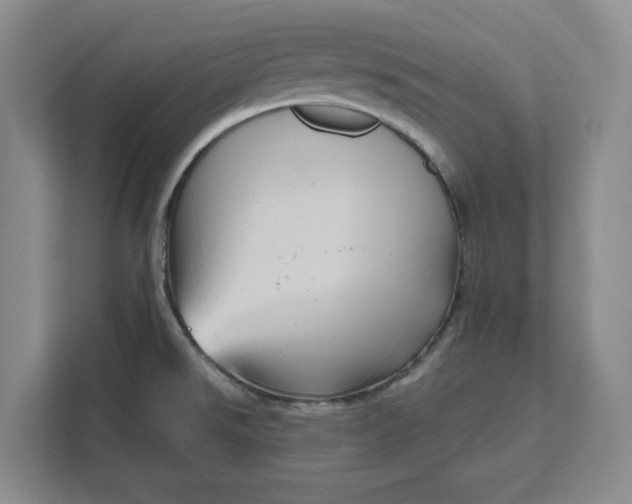 X0000111121526200907141140