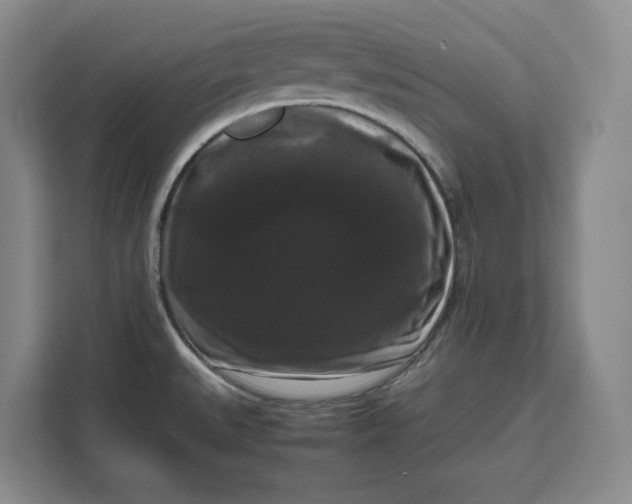 X0000111121527200907141140