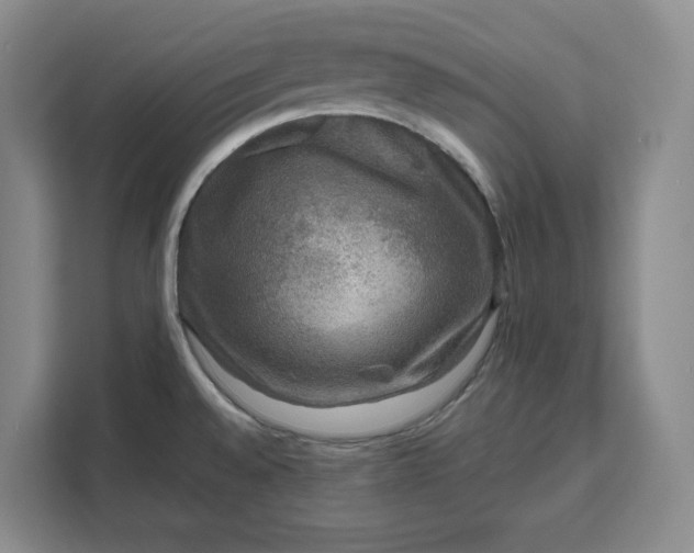 X0000111121528200907141140