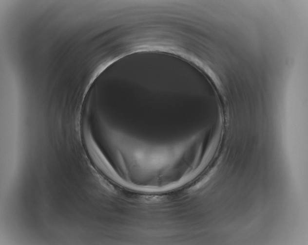 X0000111121529200907141140