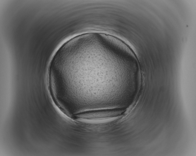 X0000111121531200907141141