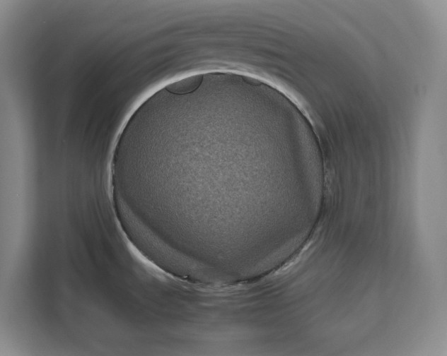 X0000111121535200907141141