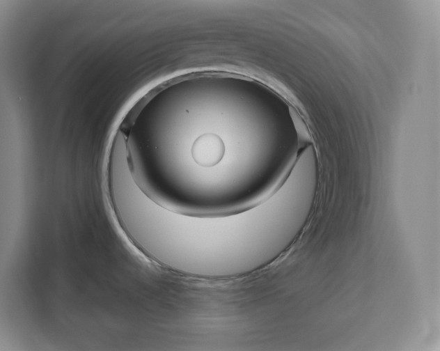 X0000111121536200907141141