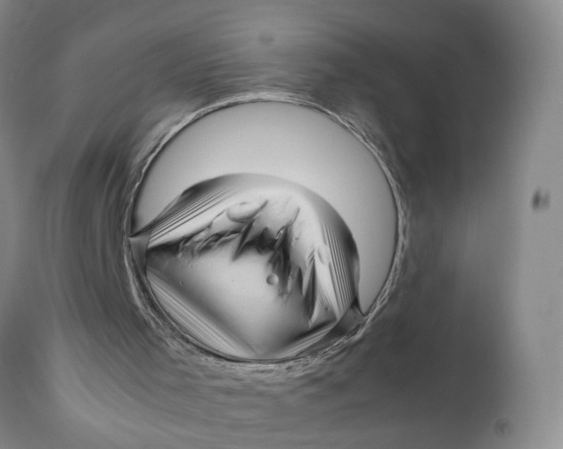 X0000111120001200907211101