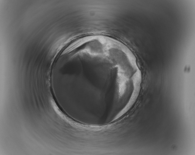 X0000111120002200907211101