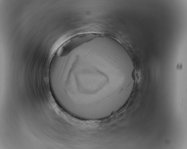 X0000111120004200907211101