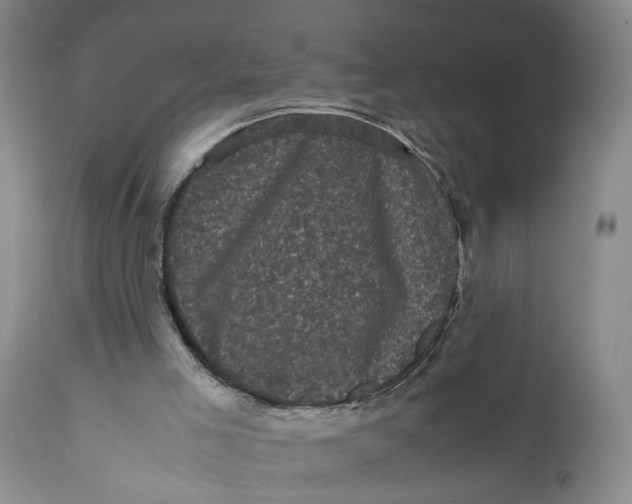 X0000111120005200907211101