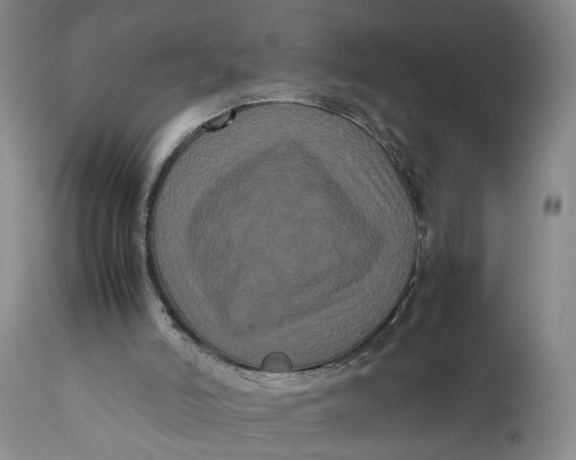 X0000111120006200907211101