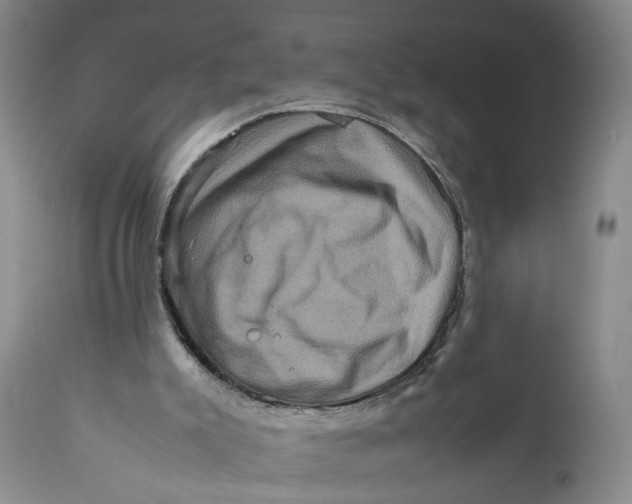 X0000111120007200907211101