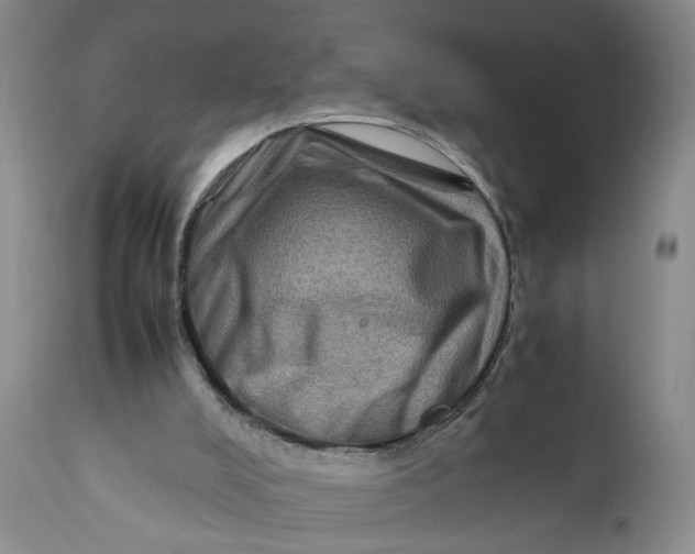 X0000111120008200907211101