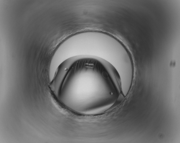 X0000111120009200907211101